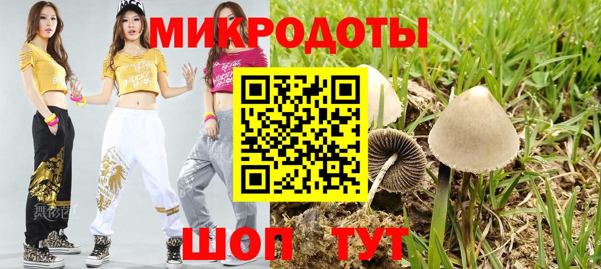 Галлюциногенные грибы мухоморы Зерноград