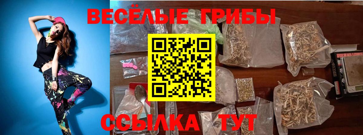 Псилоцибиновые грибы ЛСД  Галлюциногенные грибы ЛСД  Вход с VPN  Зерноград 